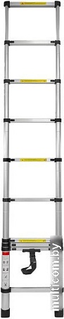 Лестница FORSAGE F-UP290 (10 ступеней)