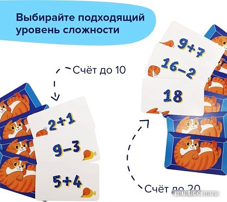 Развивающая игра Brainy Games Кот + счет УМ517