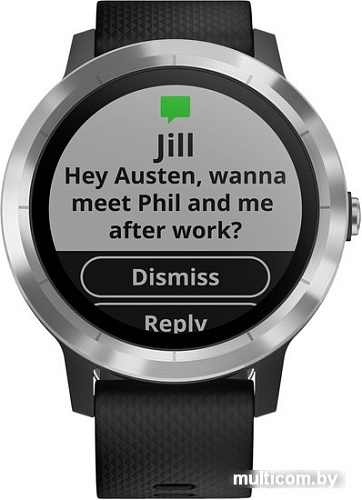 Умные часы Garmin Vivoactive 3 (серебристый/черный)