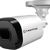 CCTV-камера Tantos TSc-P5HDf (3.6)