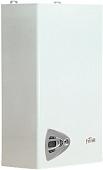 Отопительный котел Ferroli Vitabel HF 24