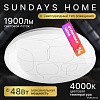 Припотолочная люстра Sundays Home 240924-1 5702