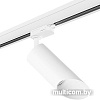 Трековый светильник Lightstar Rullo R3T43636