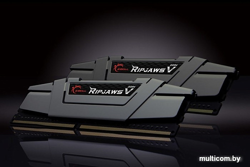 Оперативная память G.Skill Ripjaws V 2x32GB DDR4 PC4-32000 F4-4000C18D-64GVK