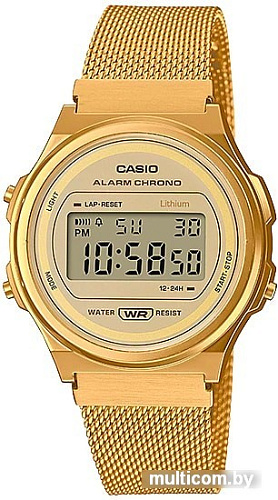 Наручные часы Casio Vintage A-171WEMG-9A