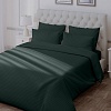 Постельное белье Verossa Stripe Dark green VRT 180/215М 70274 ST13 01