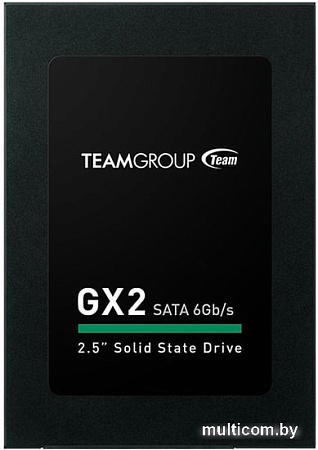 SSD Team GX2 2TB T253X2002T0C101