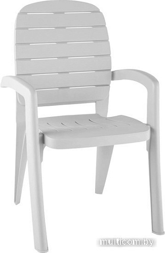 Стул Элластик-Пласт Прованс 58x46.5x90 (белый)