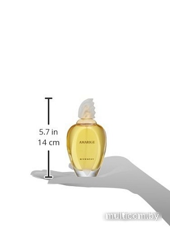 Givenchy Amarige EdT (100 мл)