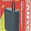 Беспроводная колонка Canyon CNE-CBTSP4DG