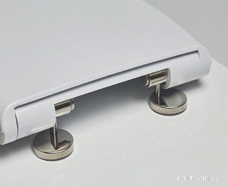 Сиденье для унитаза Saniteco SD 16m (с микролифтом)