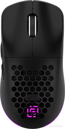 Игровая мышь Oklick 900GMW (черный)