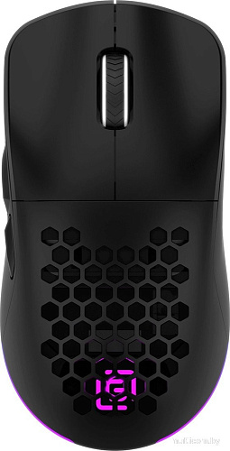 Игровая мышь Oklick 900GMW (черный)