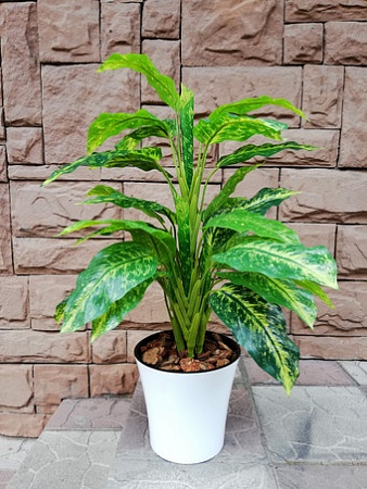 Искусственное растение Forgarden Диффенбахия в белом горшке BN10741