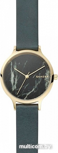 Наручные часы Skagen SKW2720