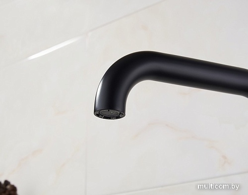 Смеситель Ledeme H98 L4698B (черный матовый)