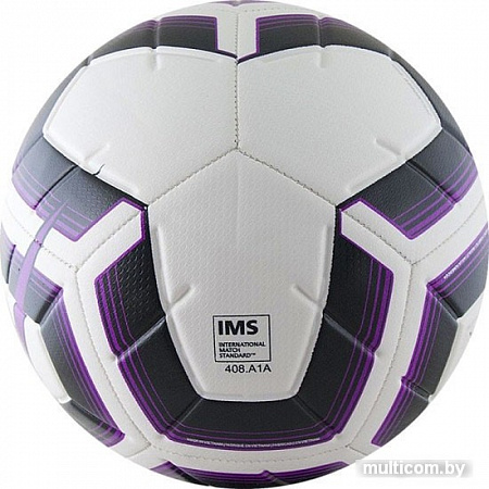 Мяч Nike Strike Team SC3535-100 (4 размер, белый/фиолетовый/черный)