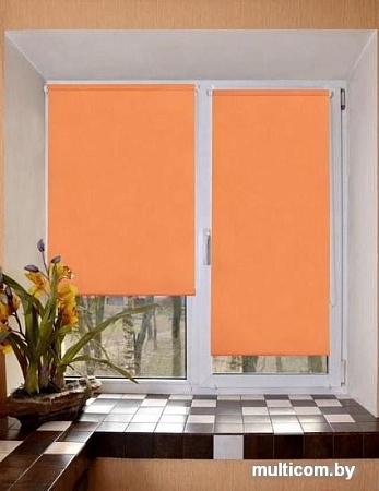 Рулонные шторы Lm Decor Лайт LM 30-03D 150x170