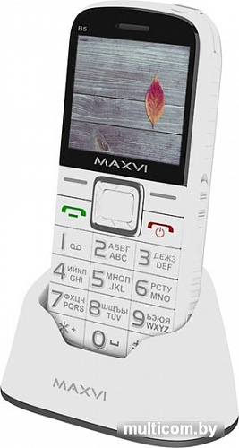Мобильный телефон Maxvi B5 (белый)