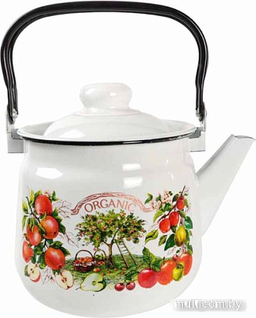 Чайник без свистка Эмаль Organic 01-2713/4М