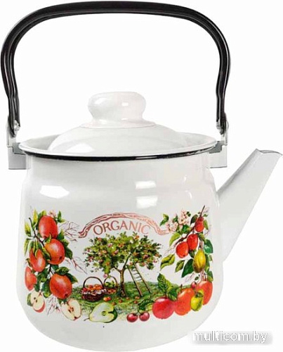 Чайник без свистка Эмаль Organic 01-2713/4М