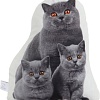 Декоративная подушка Этель Cat family 10864246