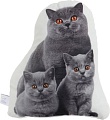 Декоративная подушка Этель Cat family 10864246