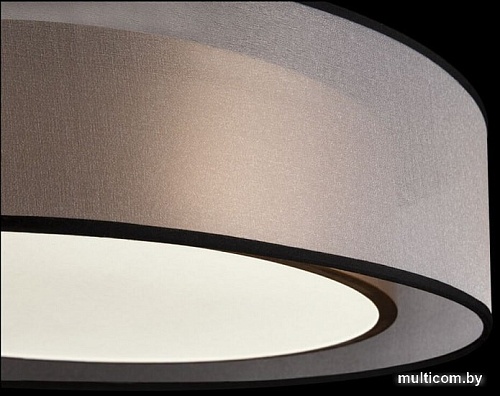 Припотолочная люстра Freya Zoticus FR6005CL-L36G