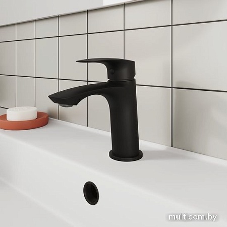 Смеситель Milardo Rora RORBL00M01