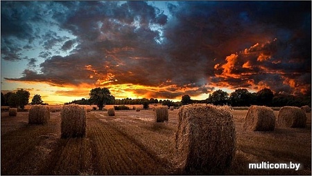 Информационная панель Samsung VM55T-U