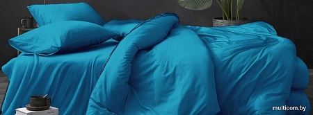 Постельное белье Luxor № Лазурный (N) 1.5 (поплин гл/кр)
