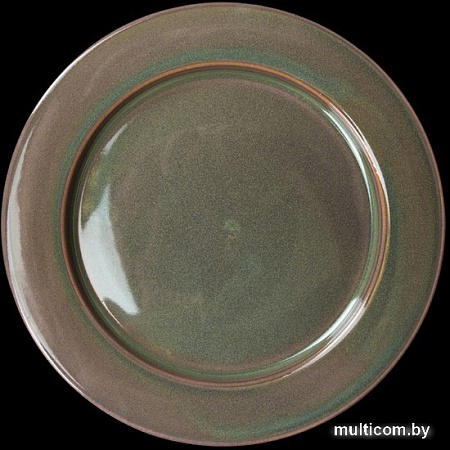 Тарелка обеденная Corone Gourmet Colore LQ-QK15173B-YB001 фк1454