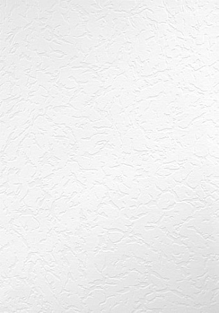 Виниловые обои Erismann Defender 2858-1