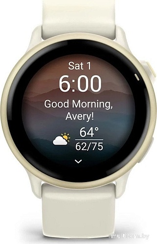 Умные часы Garmin Vivoactive 6 (лунное золото)