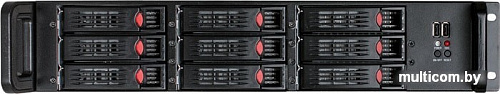 Корпус ExeGate Pro 2U650-HS09 EX284961RUS