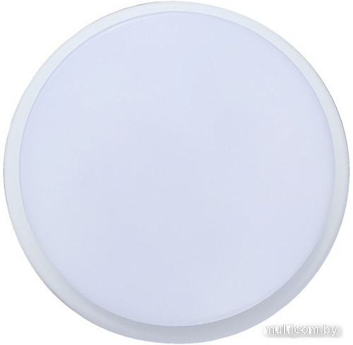 Светильник ETP ЖКХ СПП-3 12W 5000K круг IP65 35885