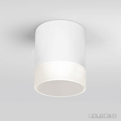 Уличный накладной светильник Elektrostandard Light LED 2107 35140/H (белый)
