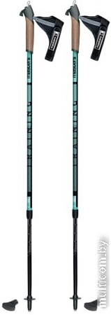 Треккинговые палки Masters Training 01N0619