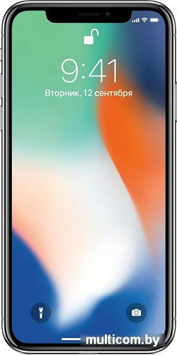 Смартфон Apple iPhone X 64GB (серебристый)