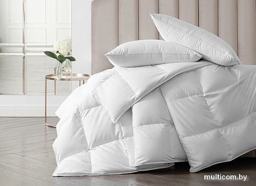 Одеяло Даргез Женева 203138 (172x205)