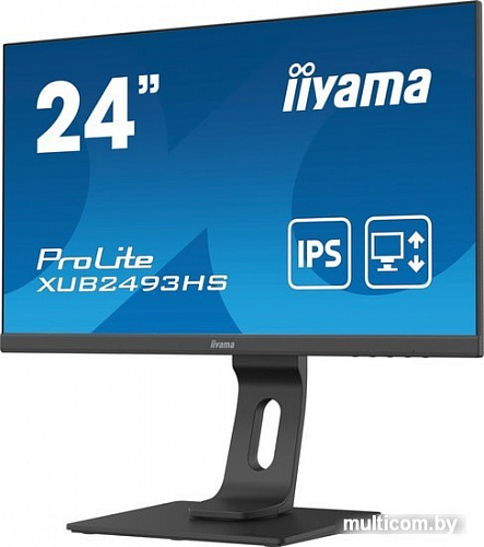 Монитор Iiyama ProLite XUB2493HS-B4