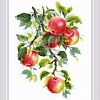 Набор для вышивания Риолис Наливные яблочки № 1938