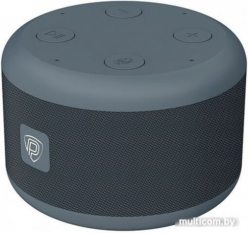 Беспроводная аудиосистема Prestigio Smartvoice (черный/серый)