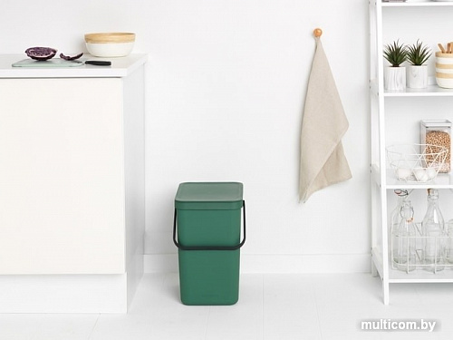 Brabantia Sort & Go 25 л (зеленая пихта)