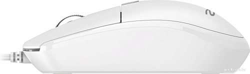Мышь Acer OMW401 (белый)