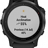 Умные часы Garmin Fenix 6s Pro (черный)