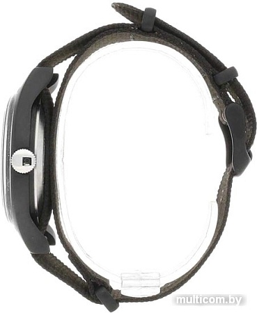 Наручные часы Timex TW2R37400