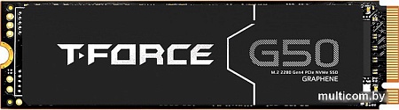 Team T-Force G50 2TB TM8FFE002T0C129
