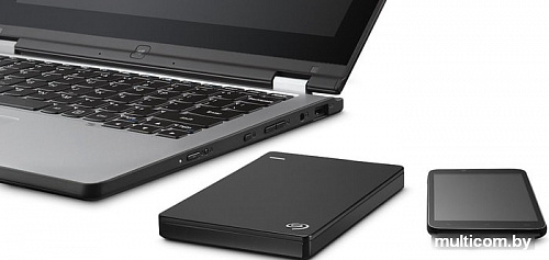 Внешний жесткий диск Seagate Backup Plus Slim 1TB STDR1000100