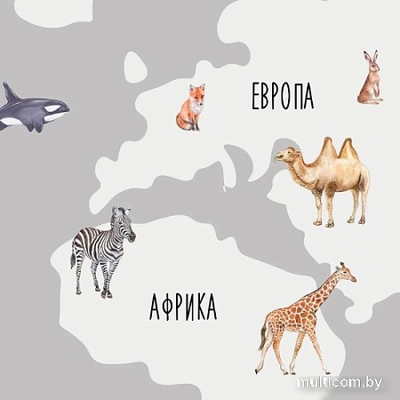 Фотообои Citydecor Детская Карта мира 385 300x260